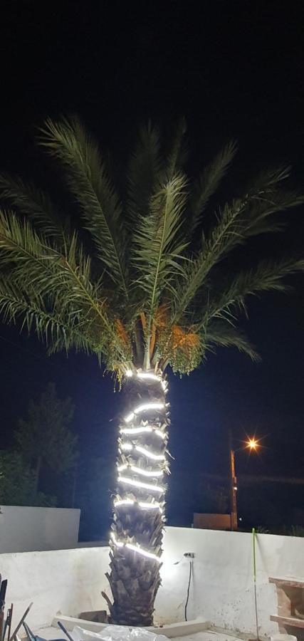 Apartamentos La Palmera Fernan Perez エクステリア 写真